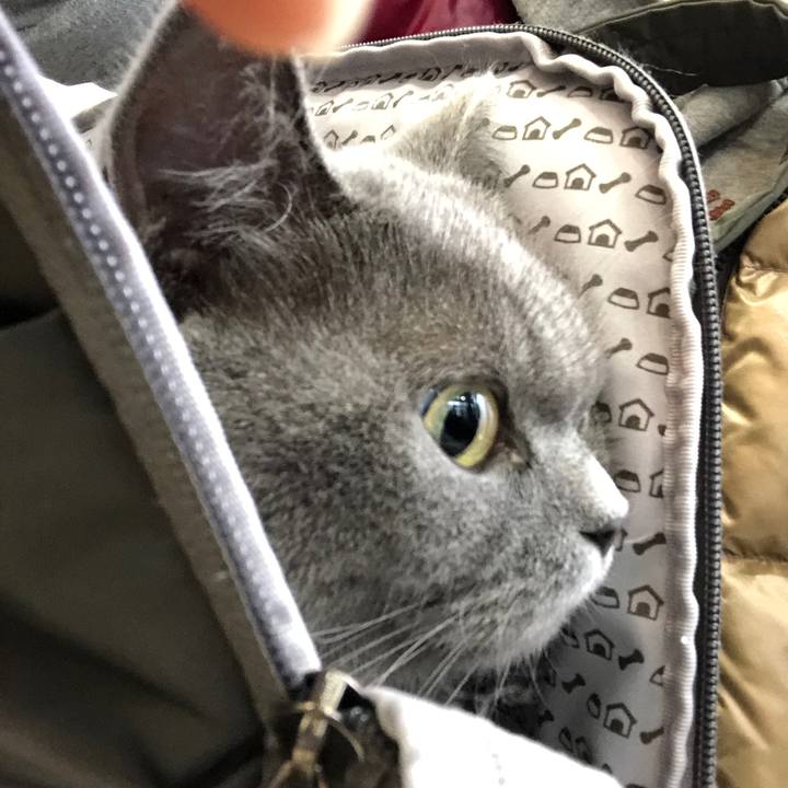 32ba3d8a d0f1 4137 8d81 51ac3555e4ee 1543715128127