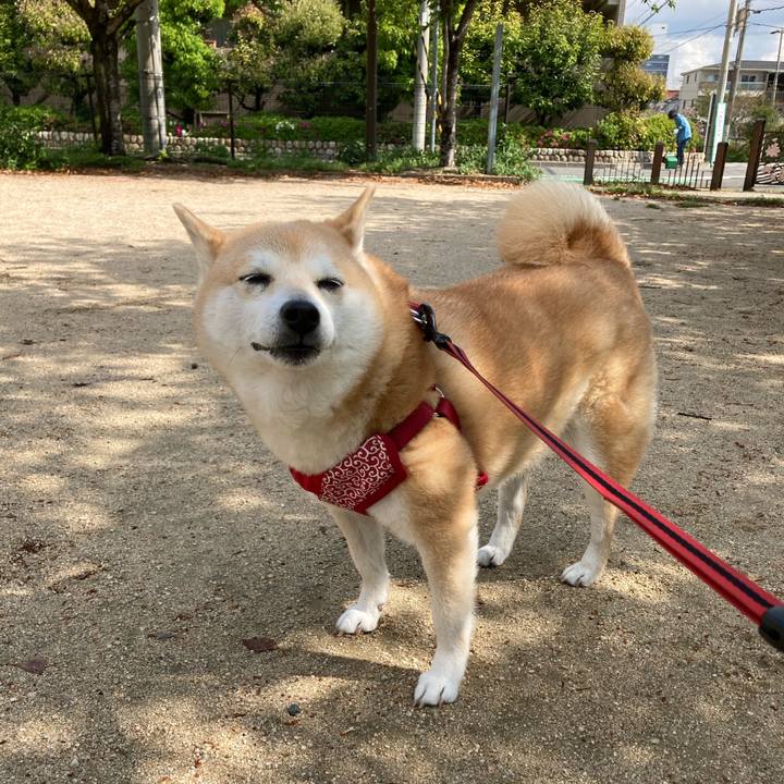 32ba8010 32df 465c b812 27018083791d 1618452137829