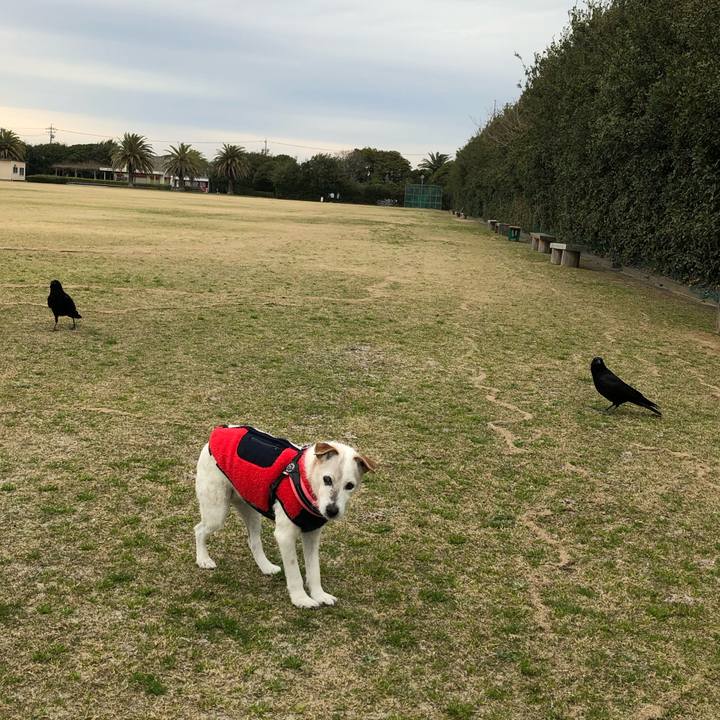 32baa27e 5adc 4677 8048 26f06ef8f6d7 1649121739940