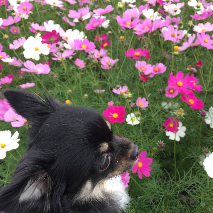 32baf64c 96be 4755 91f2 602c4258cd53 1540697562232