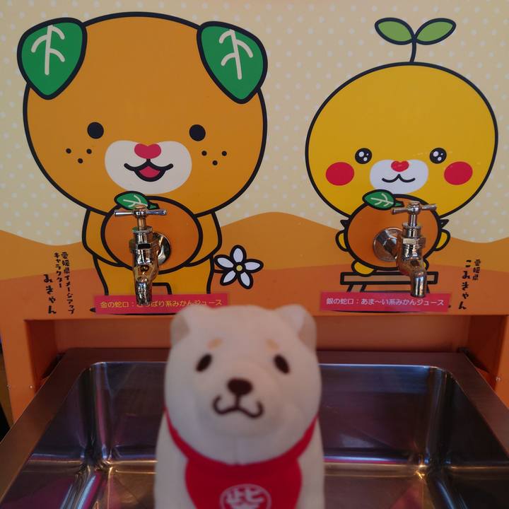 32bb2271 ab84 4c5e 83cd 7c1dfc1df724 1763964350571