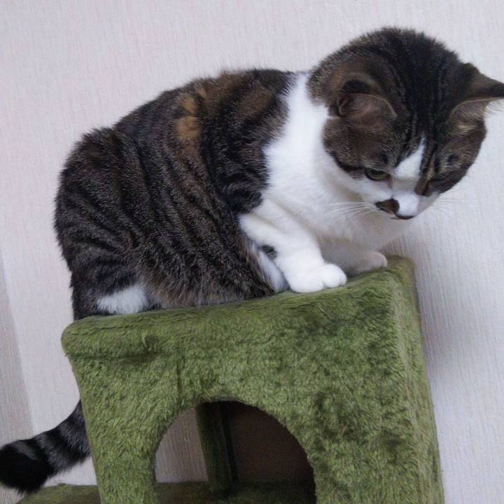 32bb5cfa 9b15 4cc9 8622 710d0e020e52 1663769821284