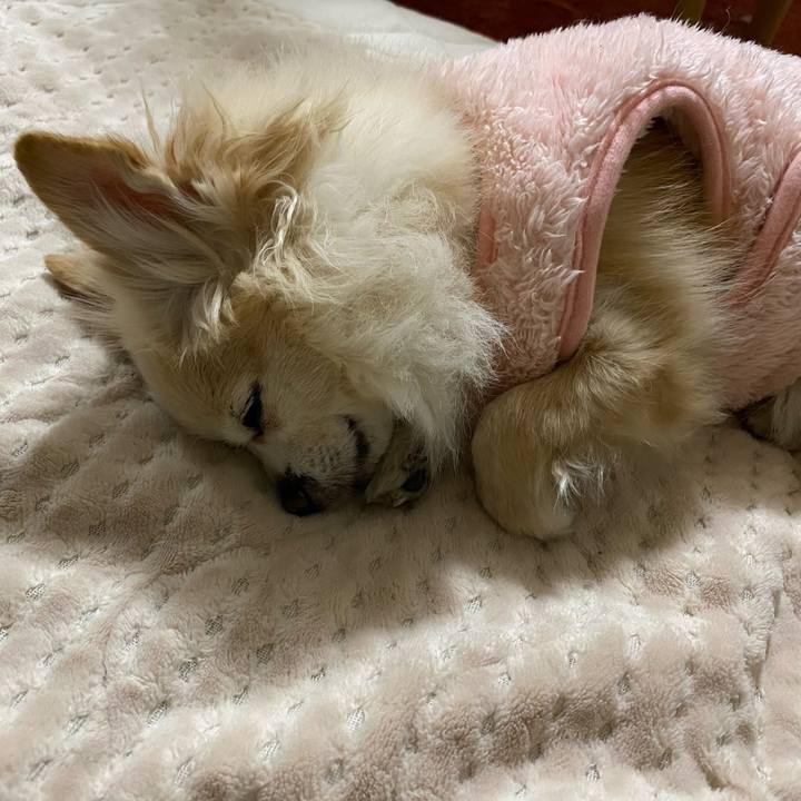 32bb784e 136b 408a 9b9c 657e3c714e93 1739368336937