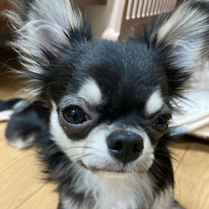 32bb8786 bc15 47bd 9e4e bc3029999883 1601907675380