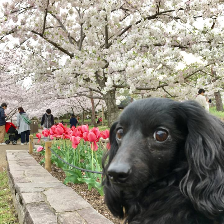 32bb8f03 81a6 4c37 8ec5 7123e219e606 1744207479649