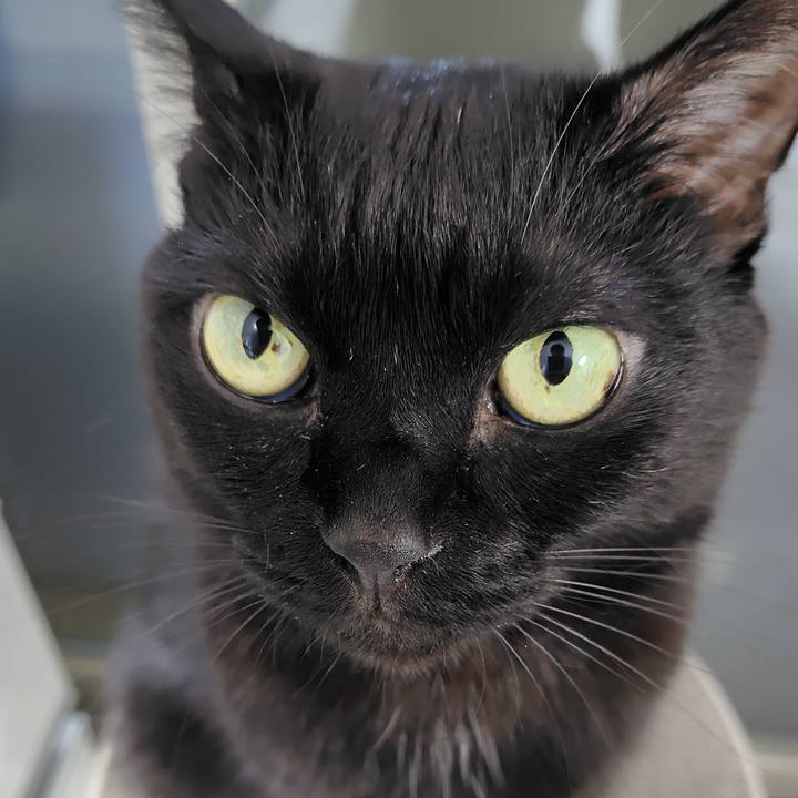 32bba767 6b8a 4341 826d 30fbe0d70687 1759487413945