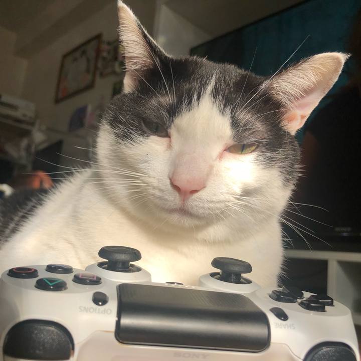 32bbbc2b 1469 458a bf9a 5084545b7e68 1546234033586