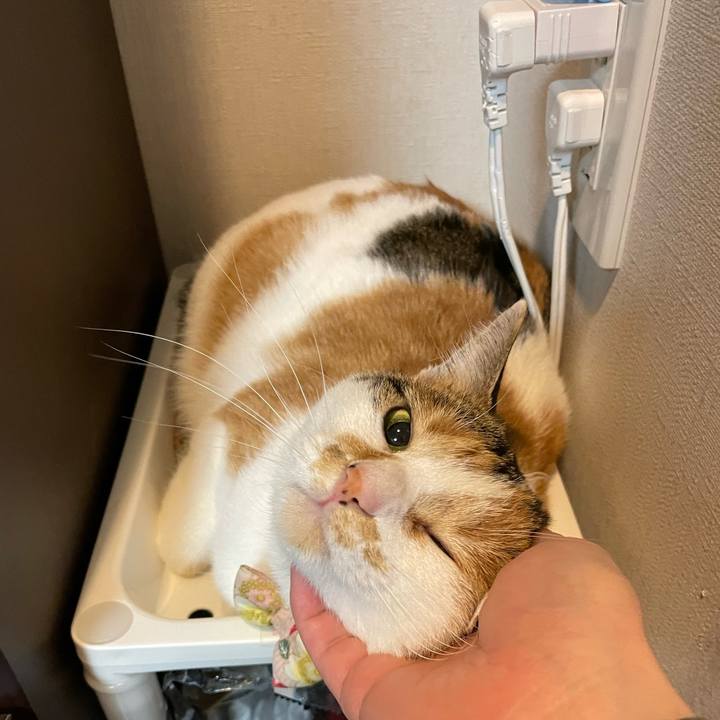 32bbe291 bcd6 4200 9833 122b67ad519c 1641651395680