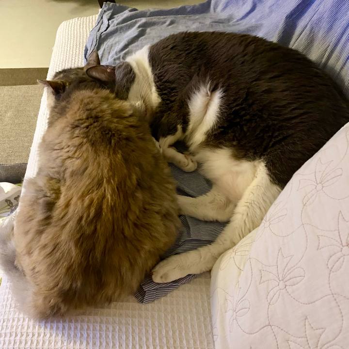 32bc01cb a31f 434e 8139 ec6fd59d7957 1757169900396