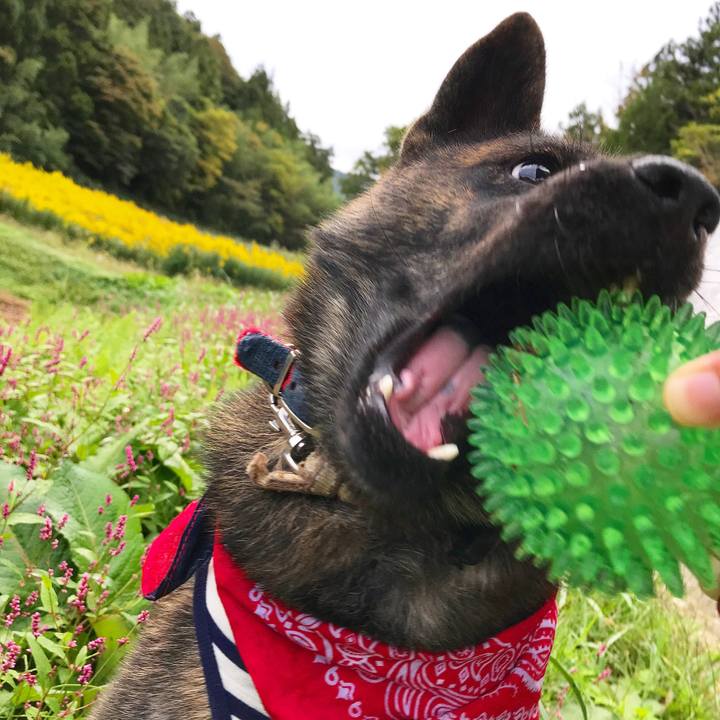 32bc0afe 018a 4fe8 84f7 5142ab04e685 1508110925257