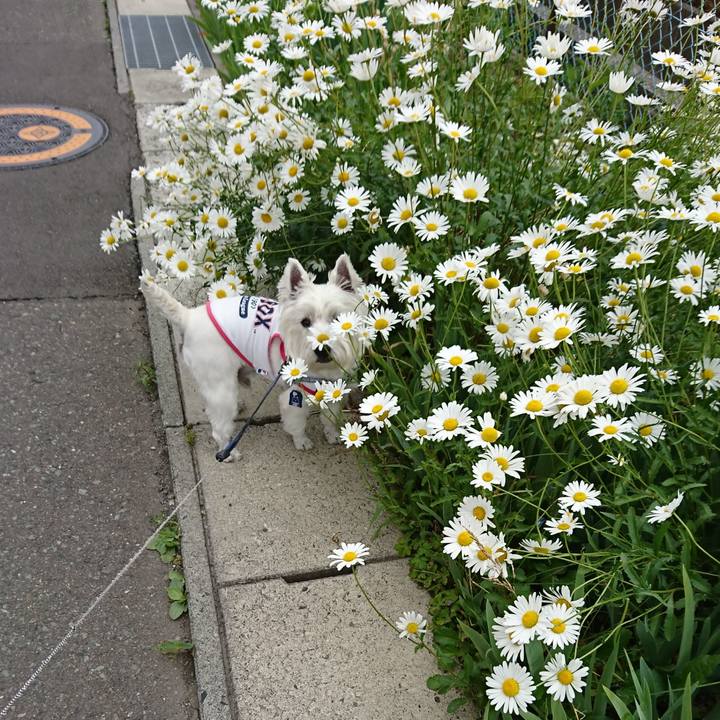 32bc124e fe07 4372 9fca 7d4edf32fd70 1529282778354