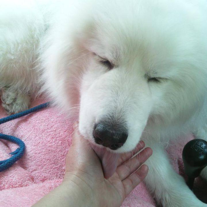 32bc17fc c852 4158 9127 820e74d454d7 1682939233799