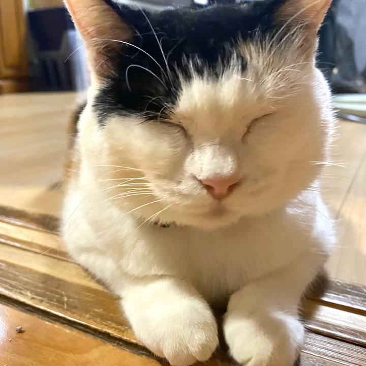 32bc1b9d 063b 4b37 ac7b f585515066ef 1694183762150