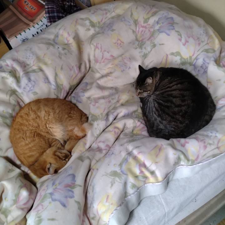 32bc274a 3bbe 4c97 8b2f 4ae47689c9d8 1696895917459