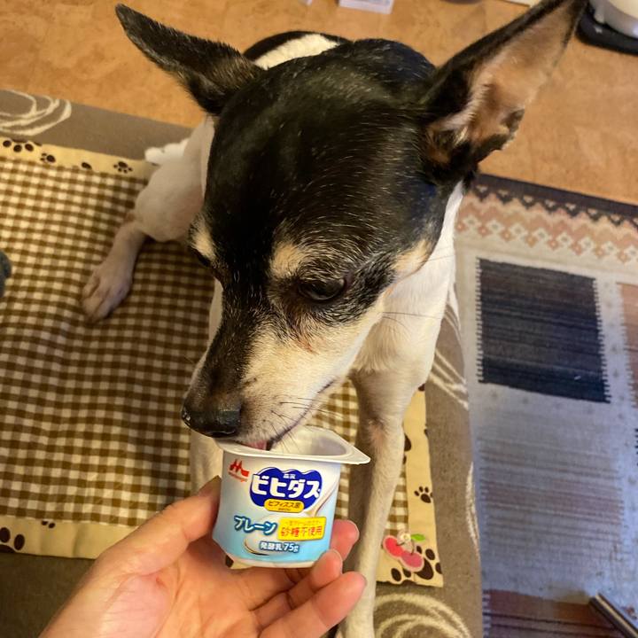 32bc7b40 b03d 40cb b809 c42bacf39c1a 1583327847835