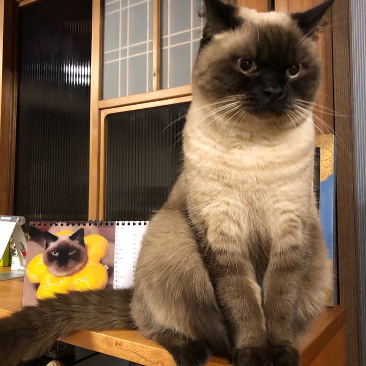 32bcd43b 00cb 4e45 8be5 d26836101d00 1610292181963