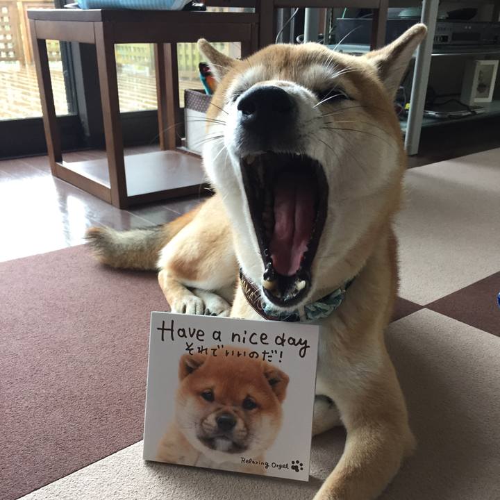 32bce1b5 ed75 4303 9d0e 23694e673c95 1509242075718