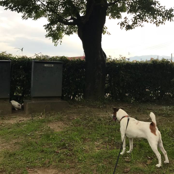 32bcedd5 98dd 440e 8260 acb345a27a2f 1531408683805