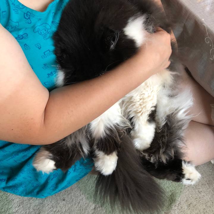 32bcf890 5387 4b17 8278 393becacde4e 1535268576149