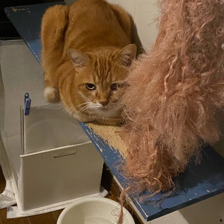 32bd4e61 eb16 49ad 9768 6a12a5679bdf 1667595677086