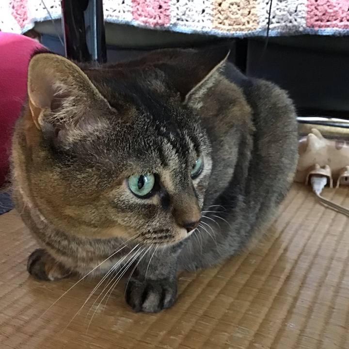 32bd58ff 9f9a 43ab b933 8dbd037896a0 1723025062923