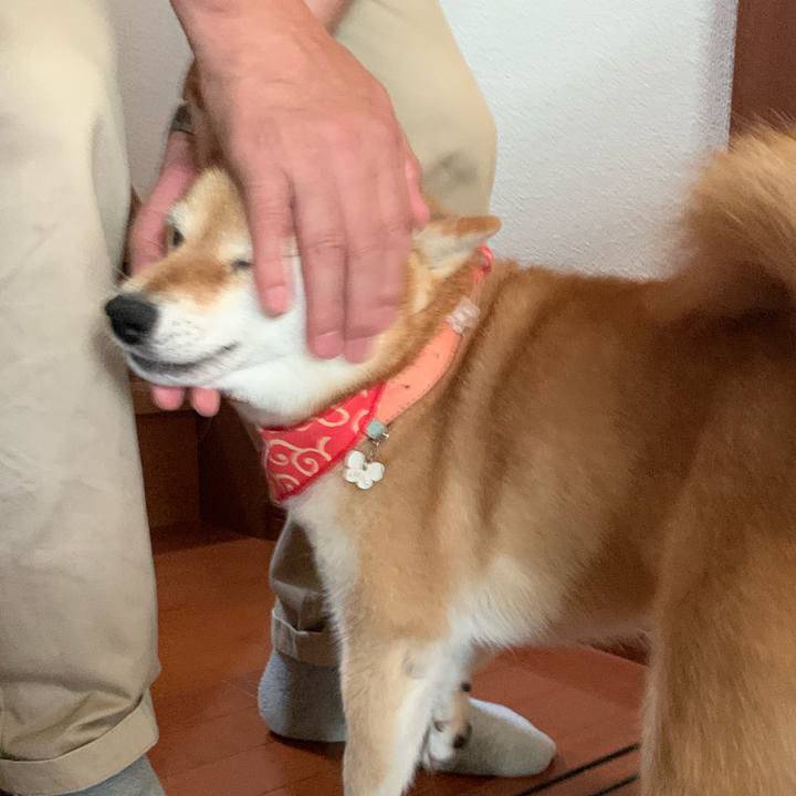 32bd6e92 1cfb 4340 94b8 252e2588f36e 1565420158705