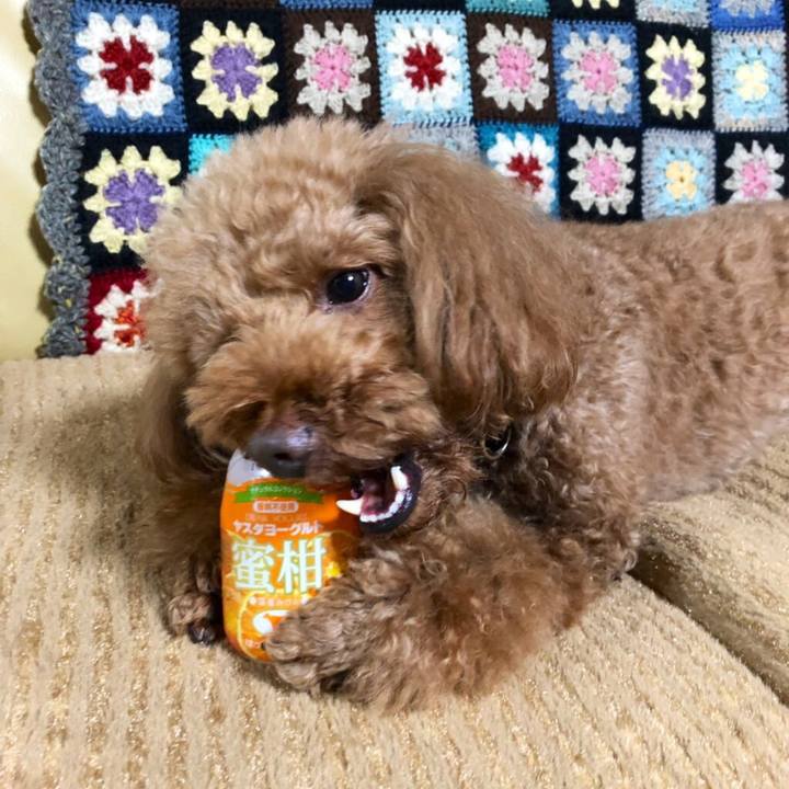 32bda7ee 2130 470e 8c62 5389e1979ac9 1553169480828