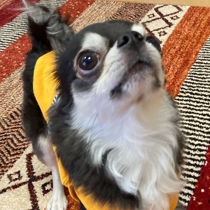 32bdfa29 9956 4fbe 8b17 29986b75280c 1671979558037