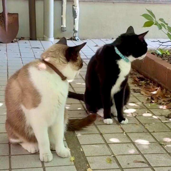 32be02f2 abb5 4b04 b1ff fe3af948a03a 1748313298144