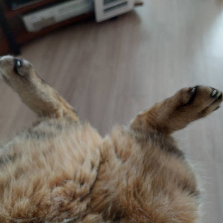 32be1065 7b47 450f a62c 93e2d9f8b819 1669675919604