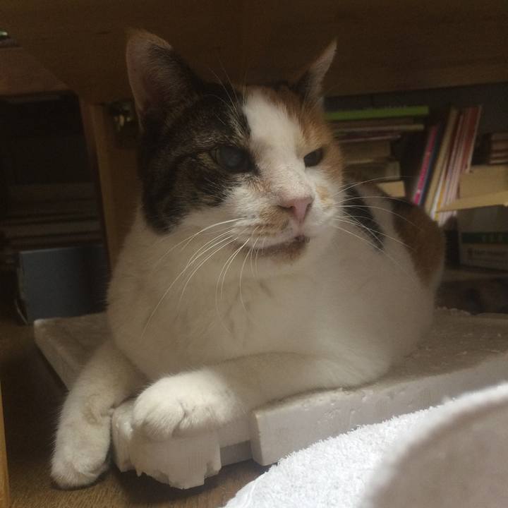 32be31a5 875e 4599 9ffe 6c83a8629326 1532089982359