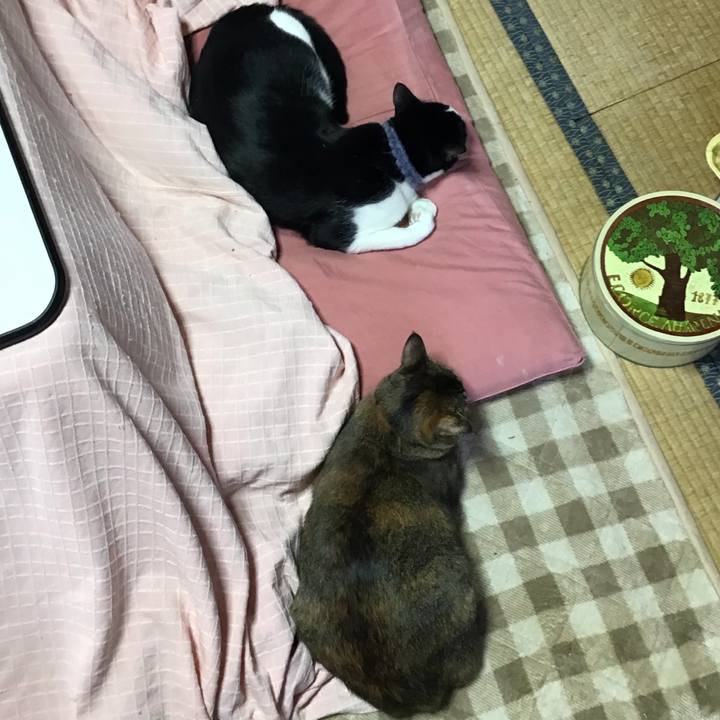 32bf3dbe cbf4 4815 9ddd 81d0aaaadea1 1643170100789