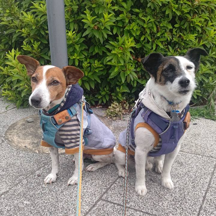 32bf7572 3c23 42cf 99e4 7ac4dcb0f43f 1717894147177