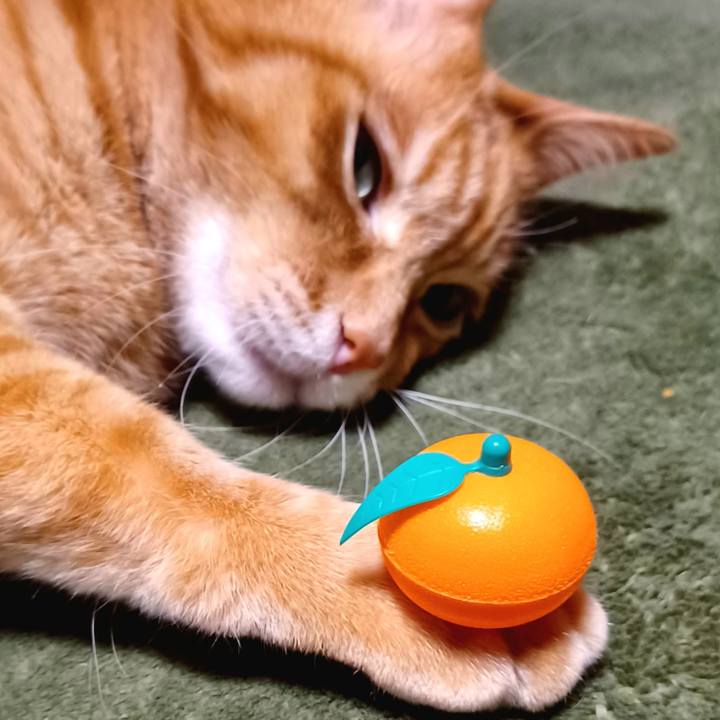 32bfb5a2 4970 42d3 a9f7 dcf78fb30fe7 1708870001512