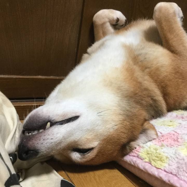 32bfd59a a307 45a7 b630 4e17add7790e 1601105776116