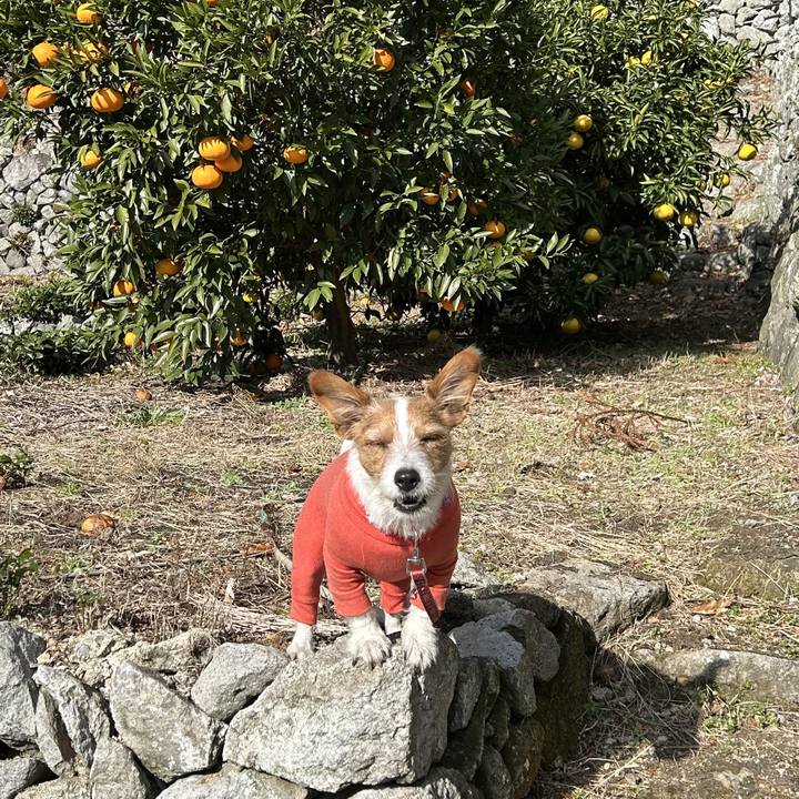 32bfec05 e610 43ff 8e22 1d3fe72bf5aa 1765941810834