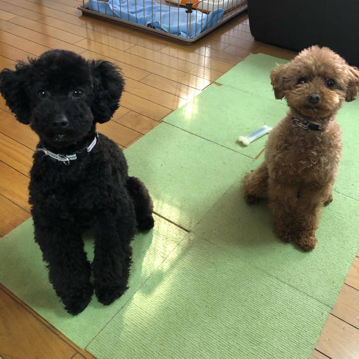 32bff594 b823 4122 9705 b3e1a4f61757 1554245256929