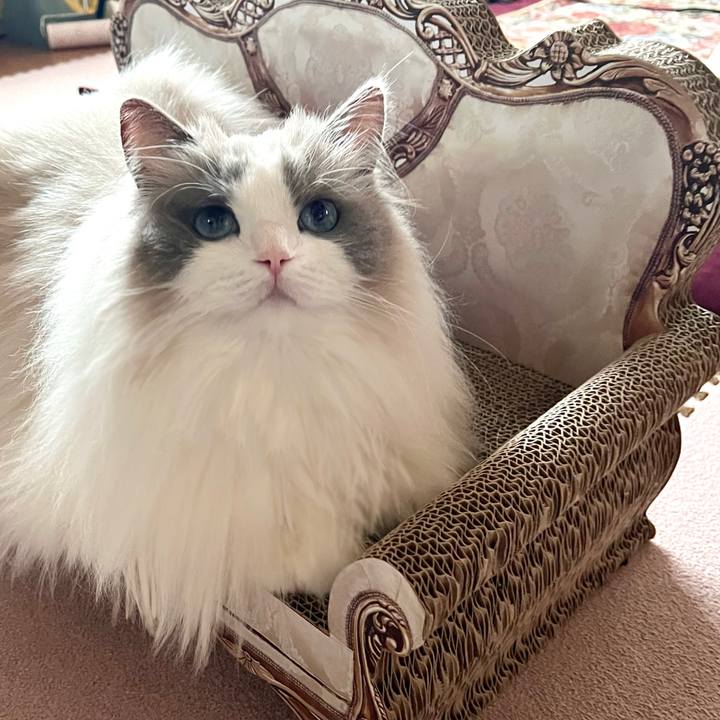 32bfffe4 fc5c 4372 8657 7cf60156e64d 1679643097589