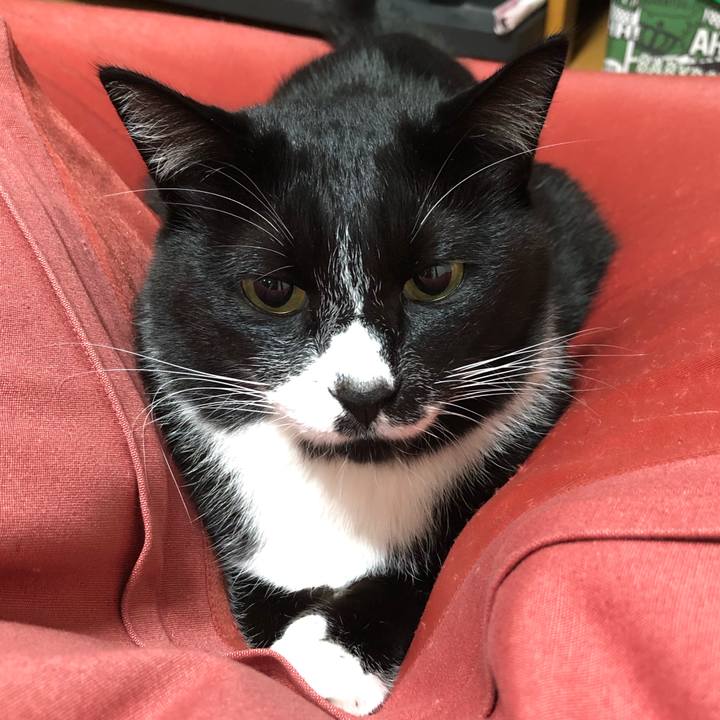 32c0290c a3db 4b15 953e 496dfdd92976 1635824477380