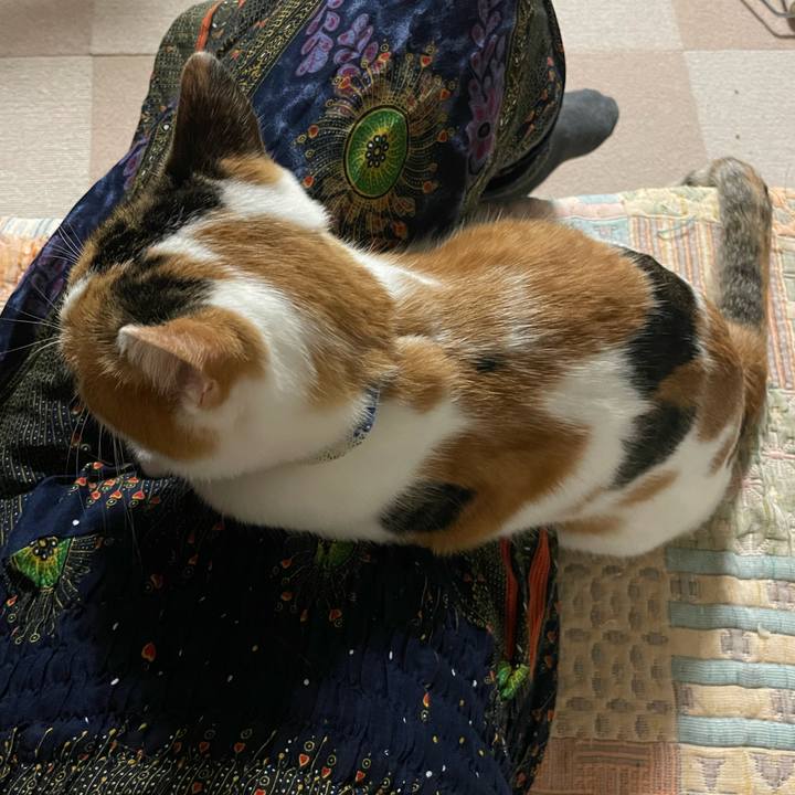 32c02bf7 068a 4a7d a3e2 45c26365fed6 1699177629585