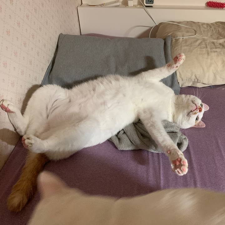 32c03808 ed3f 4cef b76a 1dec5c743546 1666644079712