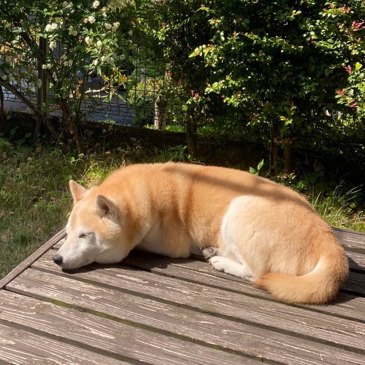 32c0732b e99b 4dd0 a74e fa8ec46275c3 1645373189872