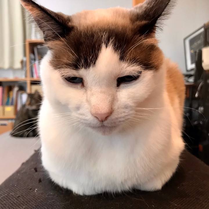 32c08580 5c95 48af b1d4 64f65855c714 1612511042415