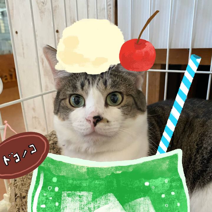 32c09166 60bb 4d29 9f1f cd81914ad537 1755128366092