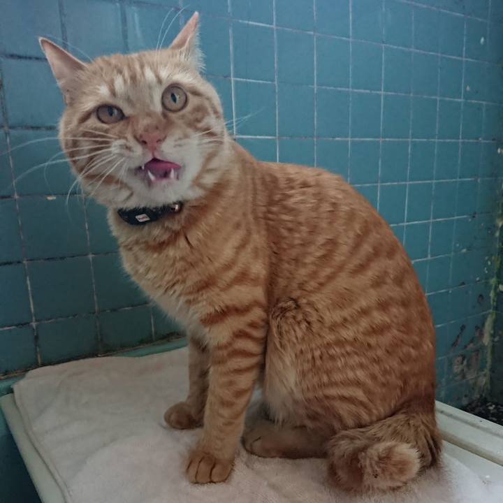 32c0e4bc b017 4071 ad58 cc7d7e7501cc 1650185393800