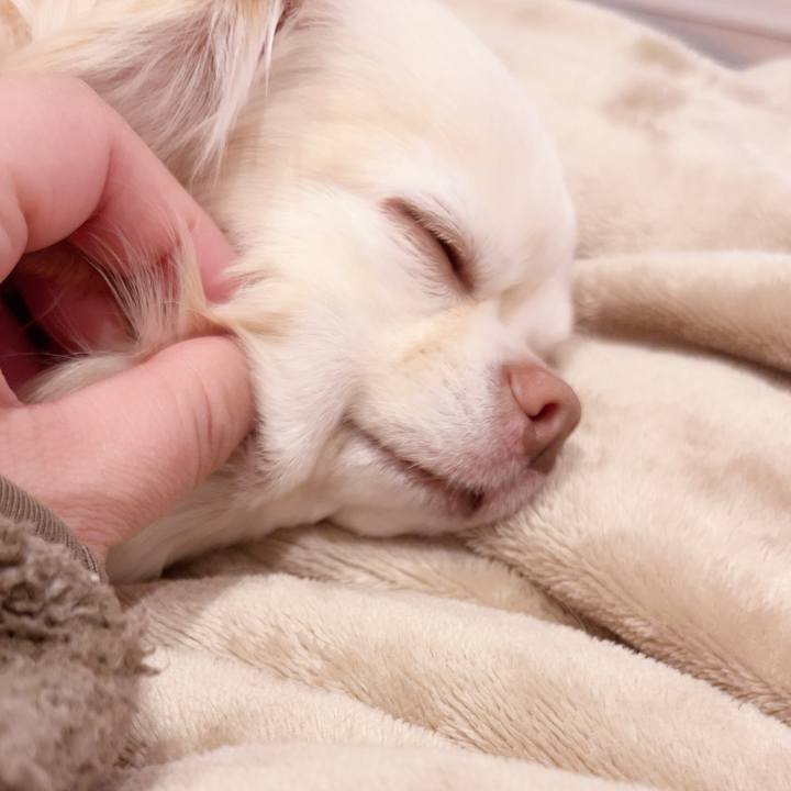 32c0efe8 6378 41b0 8ec8 73b29621f984 1738575237790