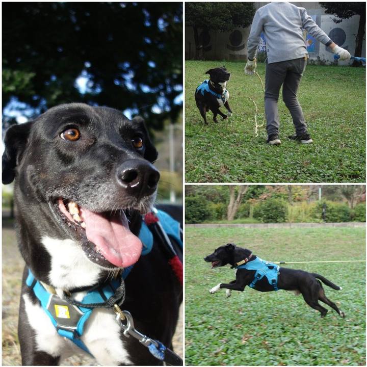 32c0f992 0821 4715 abea f23508791340 1634777979328