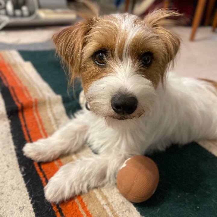 32c17d27 429f 40ab bed3 b47698c718fa 1773837557739