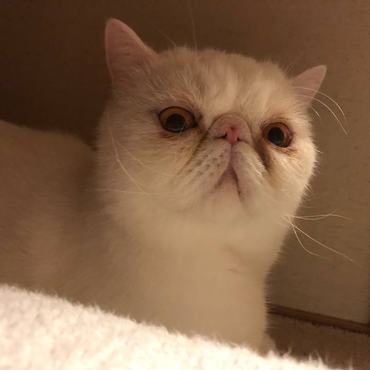 32c185f4 4961 4fd3 8ed6 5a15fee24e34 1666006872169