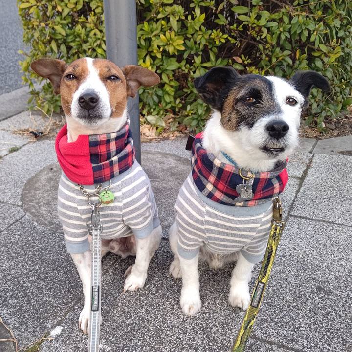 32c1a37c 3a8f 4c9d 9373 b9ab8bf94f01 1675810949218